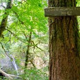 Review photo of Silver Falls State Park Campground by Jill T., July 11, 2018