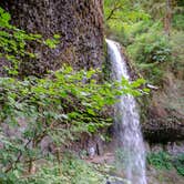 Review photo of Silver Falls State Park Campground by Jill T., July 11, 2018