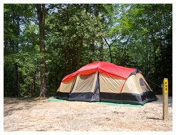Camper submitted image from Prizer Point Marina & Resort - 3