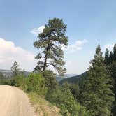 Review photo of Junction Creek Campground by Maureen A., August 15, 2018