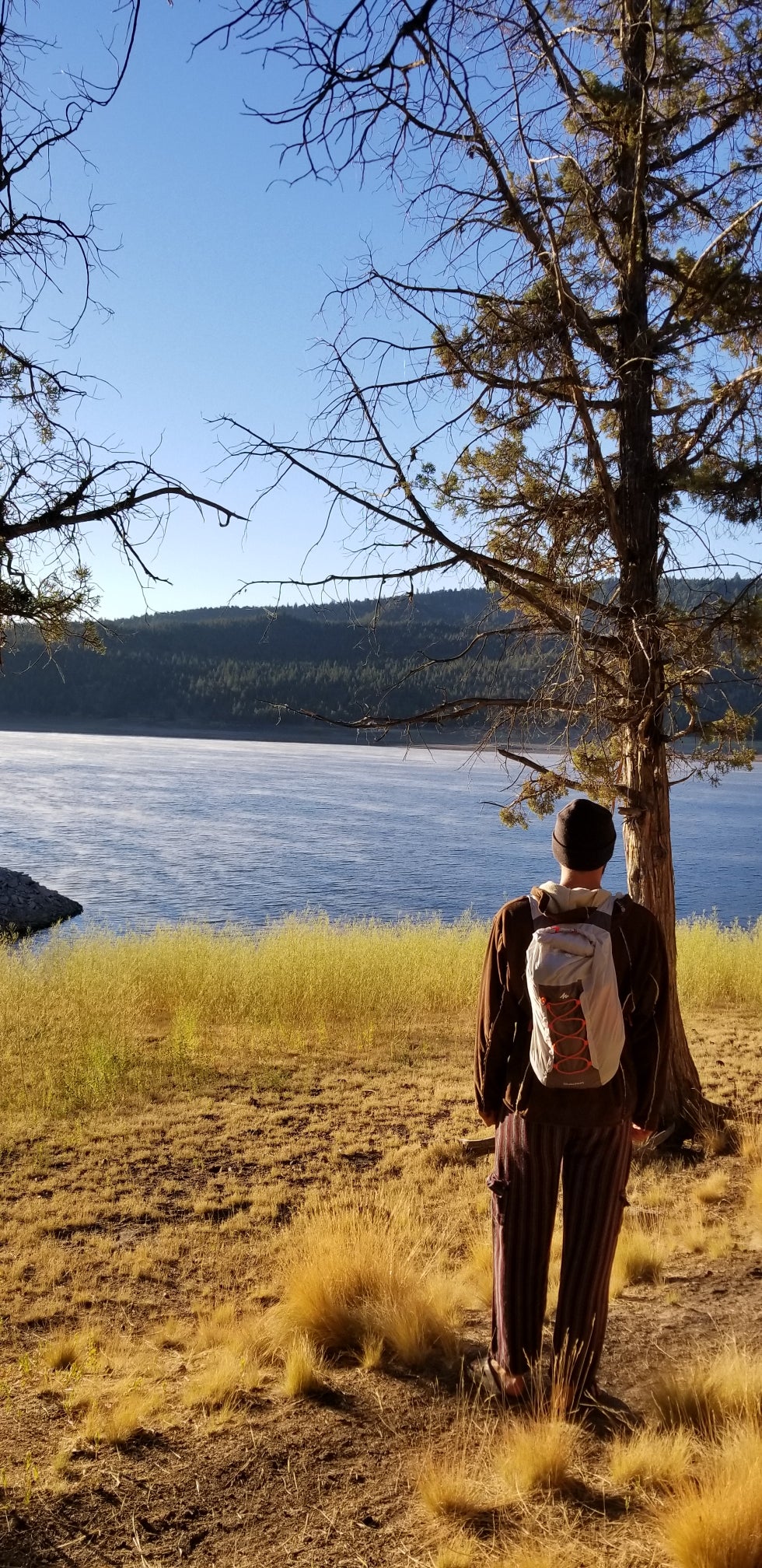 Camper submitted image from Ochoco Lake County Park - 5