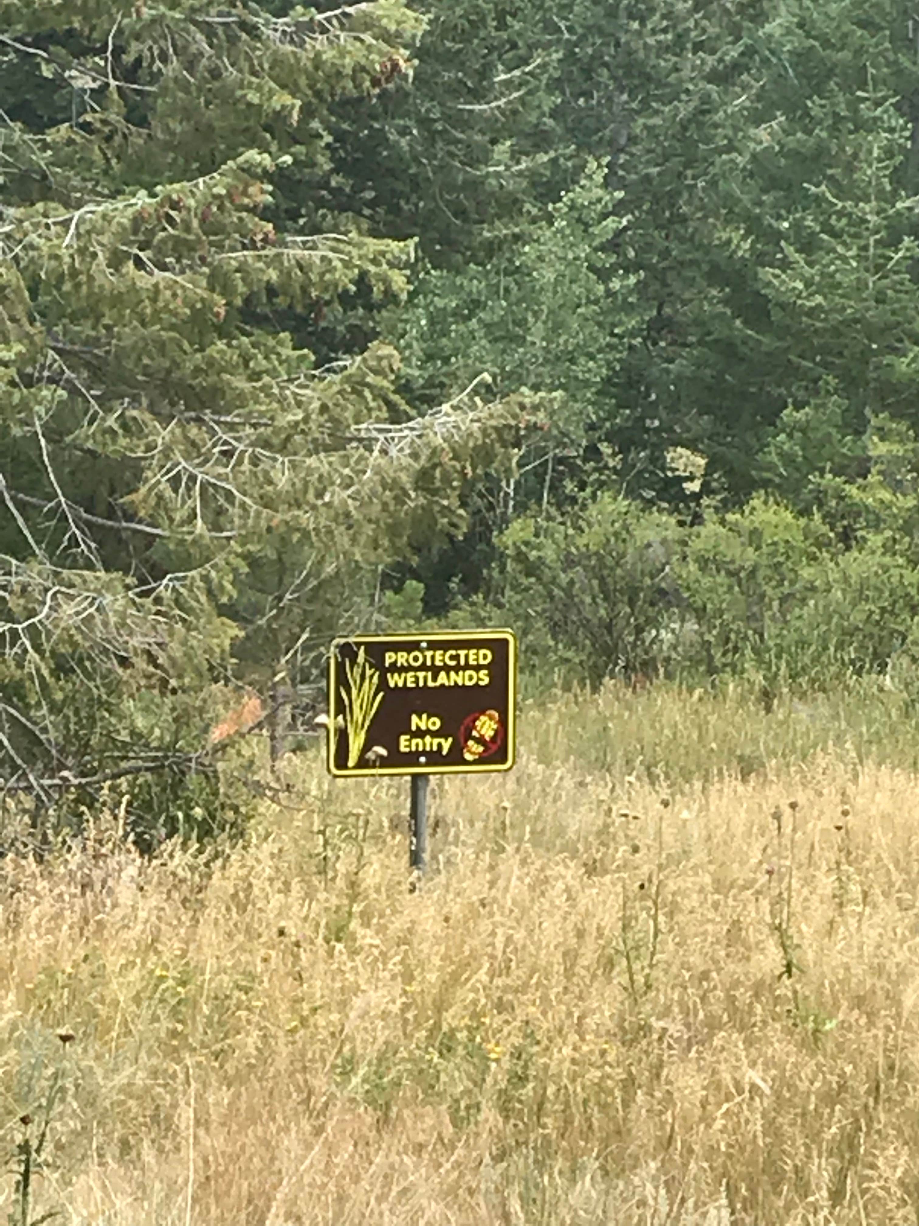 Camper-submitted photo at Hermits Hollow Campground — Hermit Park near Hygiene, CO