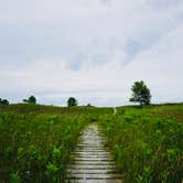 Review photo of Kohler-Andrae State Park by Kendra G., August 15, 2018