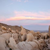 Review photo of White Tank Campground — Joshua Tree National Park by Jill T., August 15, 2018