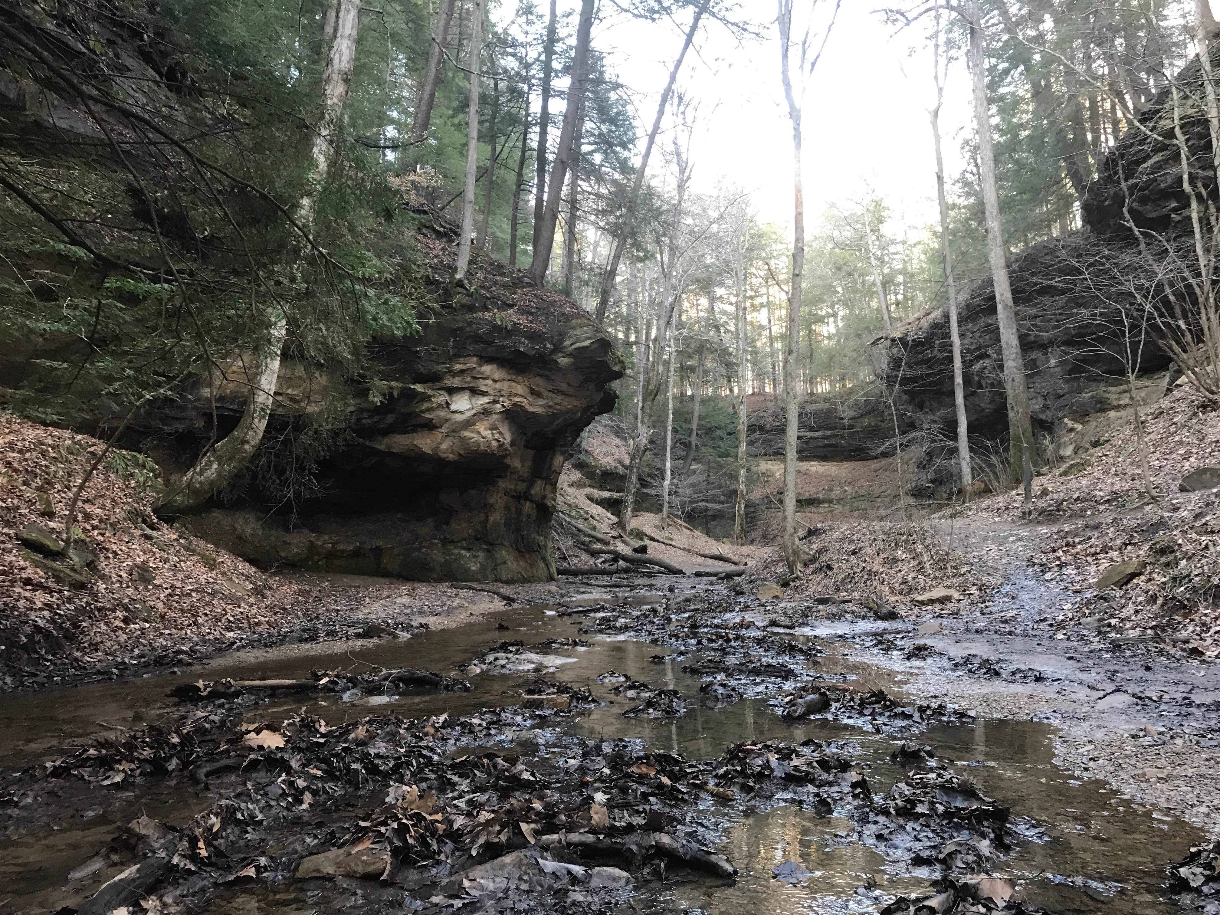 Turkey Run State Park Campground