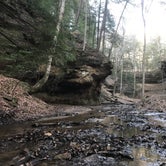 Review photo of Turkey Run State Park Campground — Turkey Run State Park by Maggie M., August 4, 2018