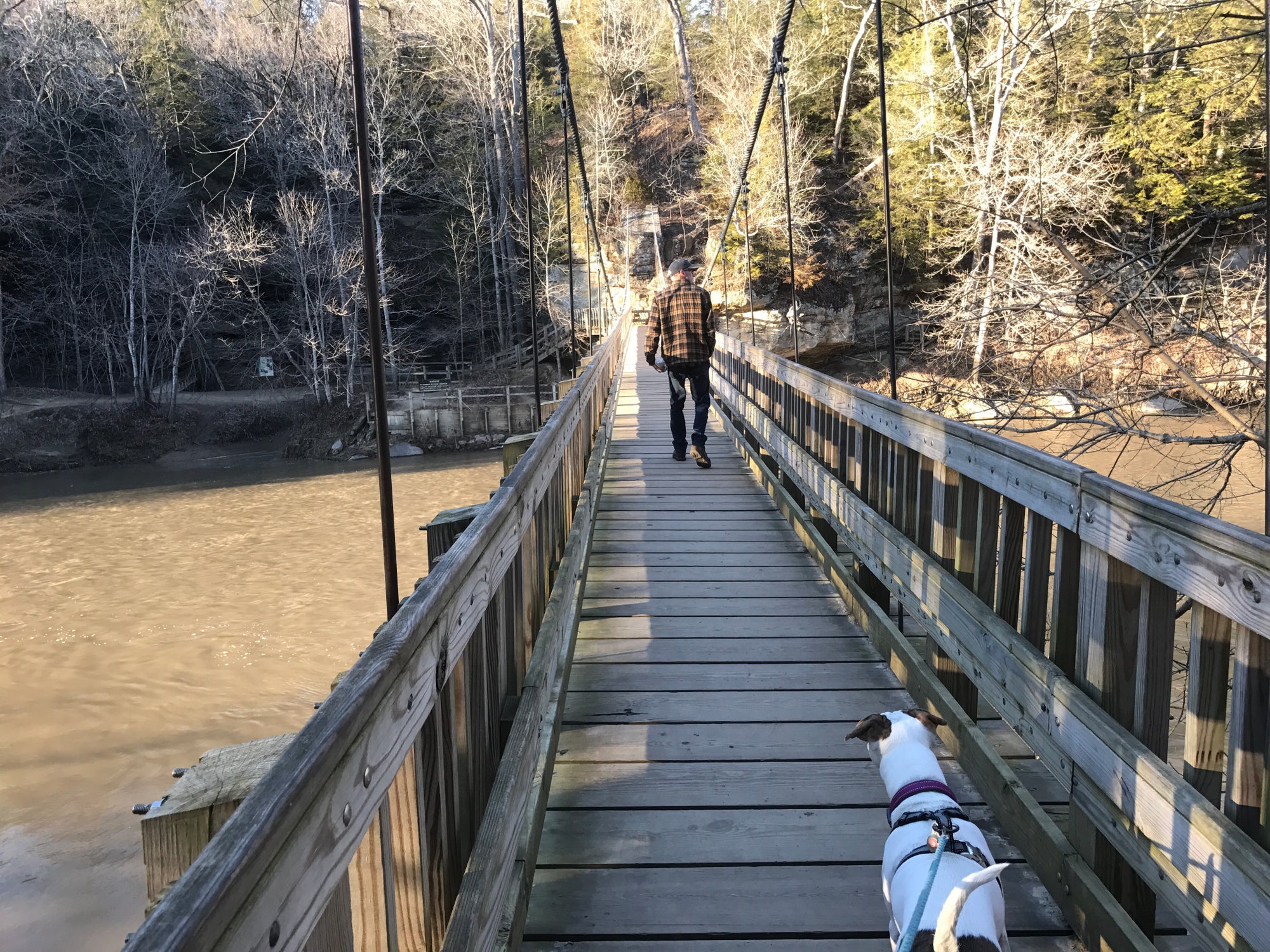 A man and a dog walk together across a river on a bridge at Turkey Run State Park