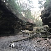 Review photo of Turkey Run State Park Campground — Turkey Run State Park by Maggie M., August 4, 2018
