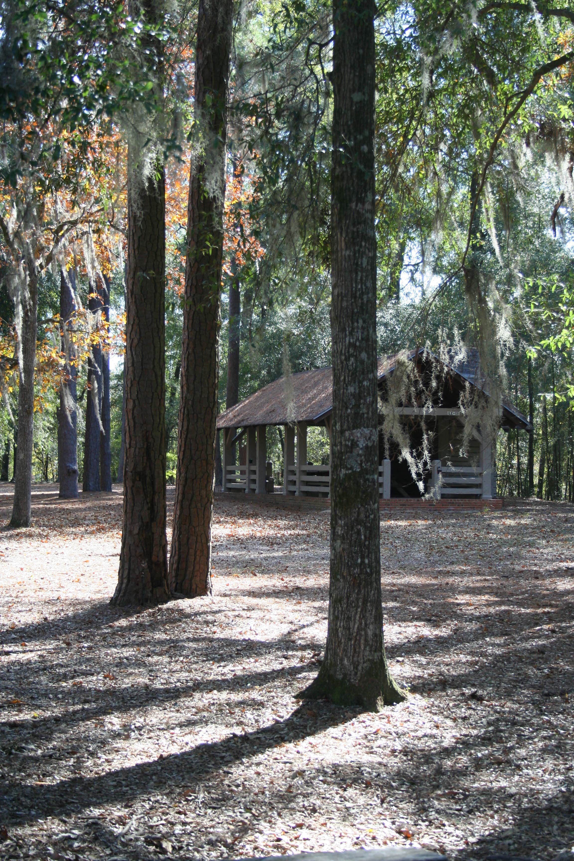 Camper submitted image from Lee State Park Campground - 2