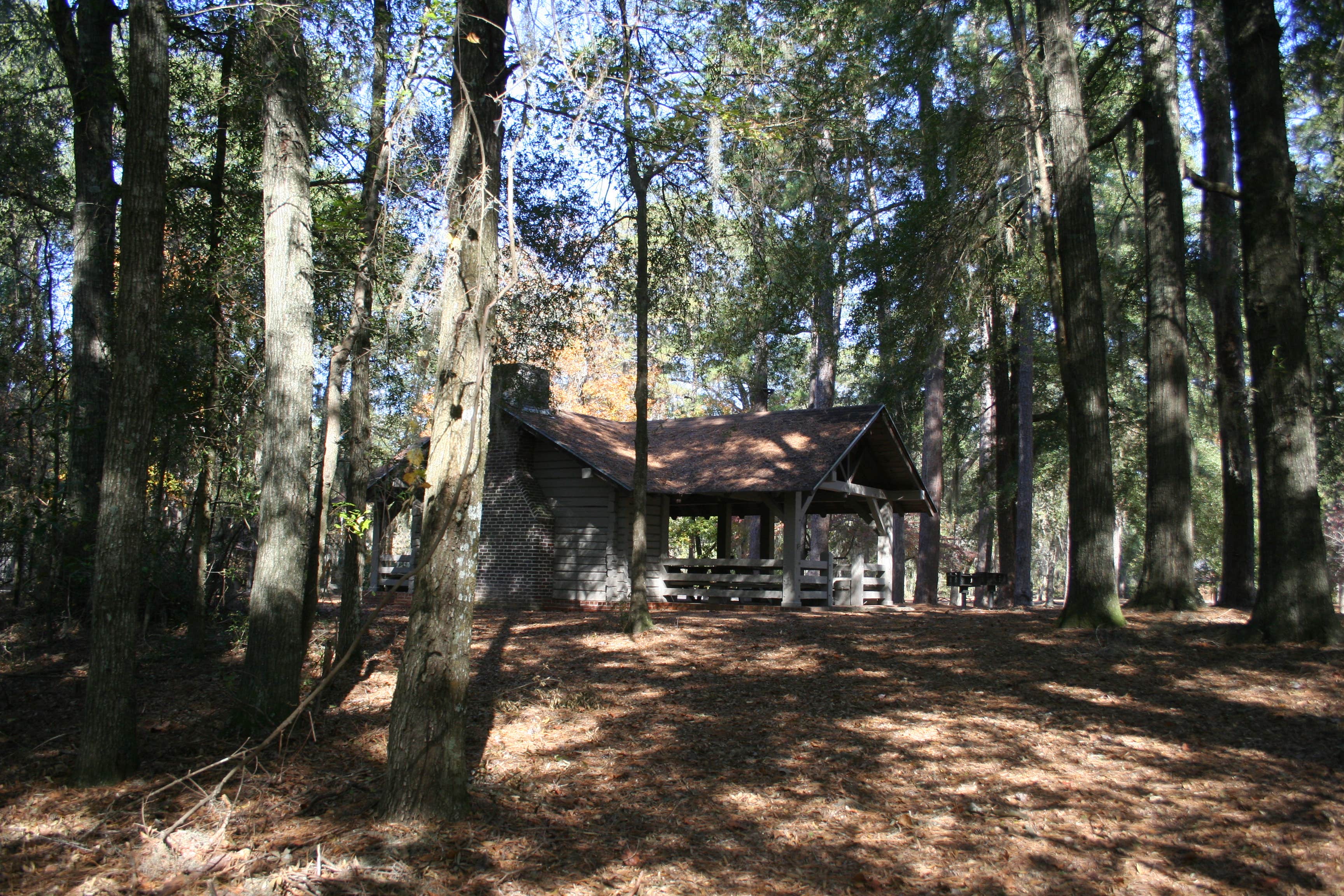Swain K.'s photo of glamping accommodations at Lee State Park Campground near Elgin, SC
