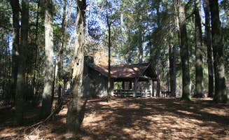 Swain K.'s photo of glamping accommodations at Lee State Park Campground near Timmonsville, SC