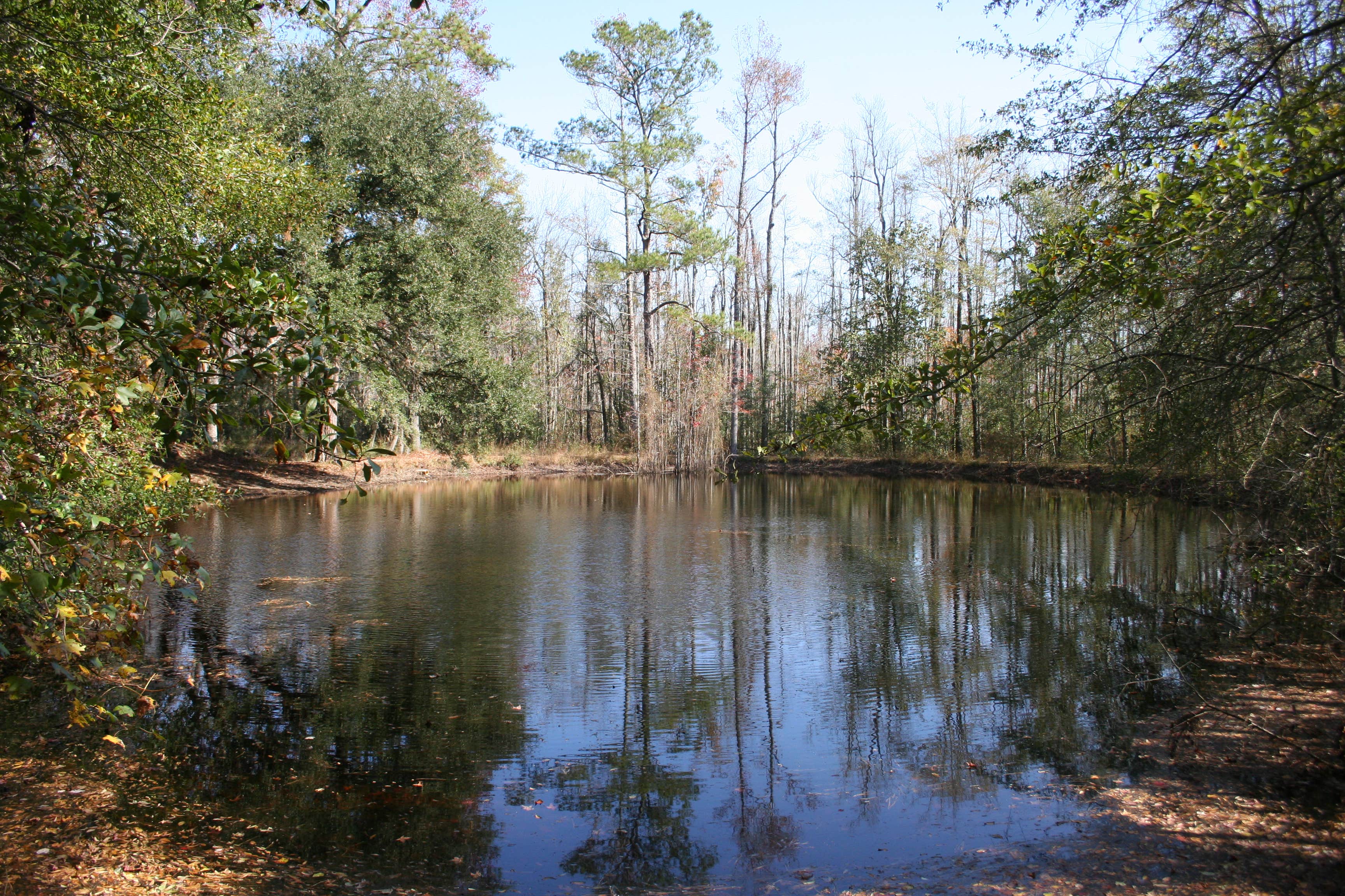 Camper submitted image from Lee State Park Campground - 3