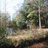 Review photo of Lee State Park Campground by Swain K., August 15, 2018