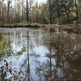 Review photo of Lee State Park Campground by Swain K., August 15, 2018