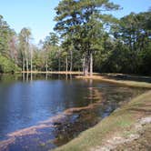 Review photo of Lee State Park Campground by Swain K., August 15, 2018