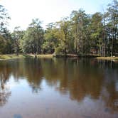 Review photo of Lee State Park Campground by Swain K., August 15, 2018