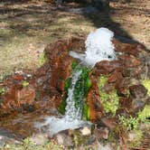 Review photo of Lee State Park Campground by Swain K., August 15, 2018