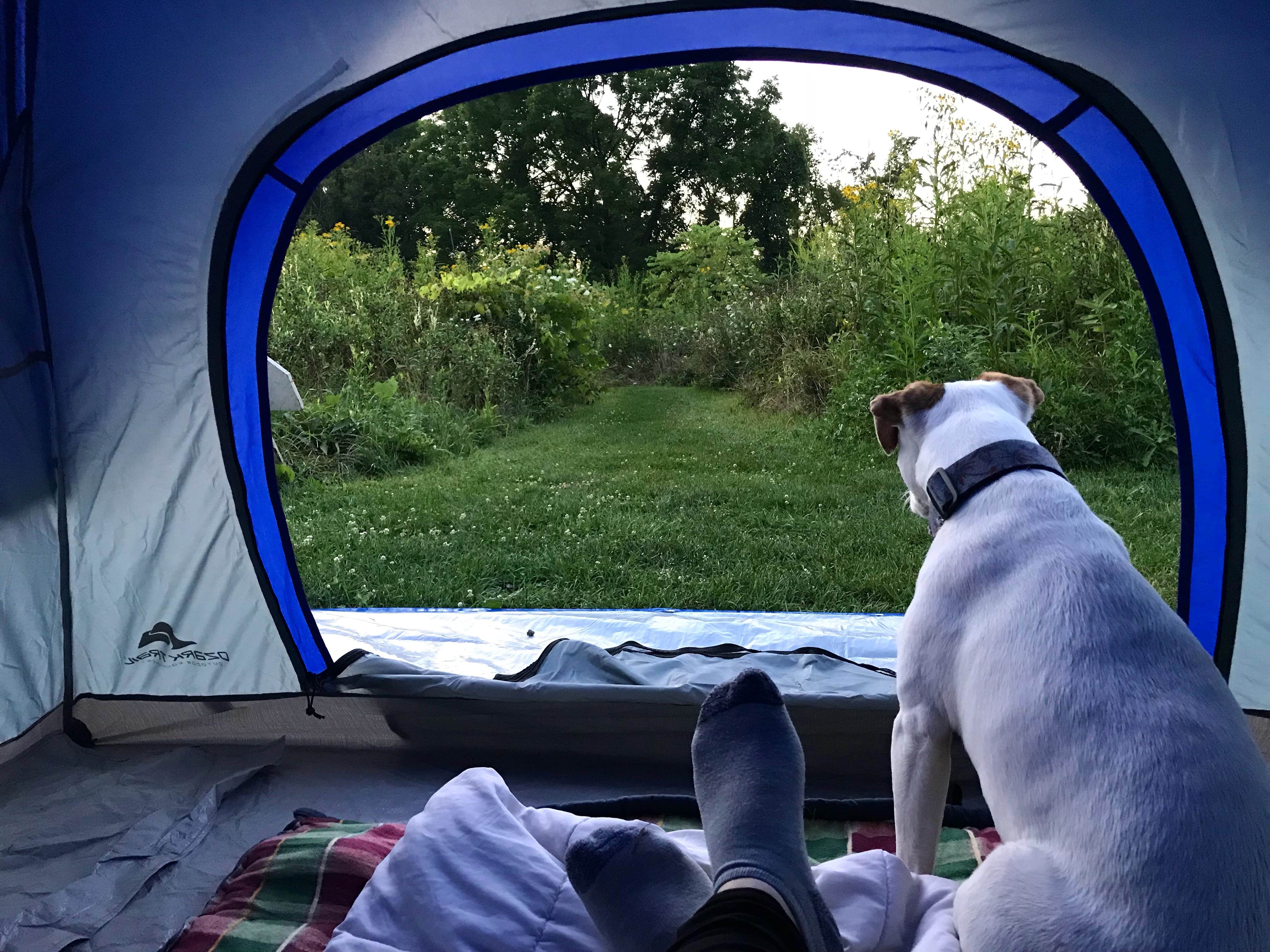 Maggie M.'s photo at Cuyahoga Valley National Park - CAMPING NO LONGER OFFERED near Fairview Park, OH