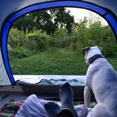 Review photo of Cuyahoga Valley National Park - CAMPING NO LONGER OFFERED by Maggie M., August 16, 2018