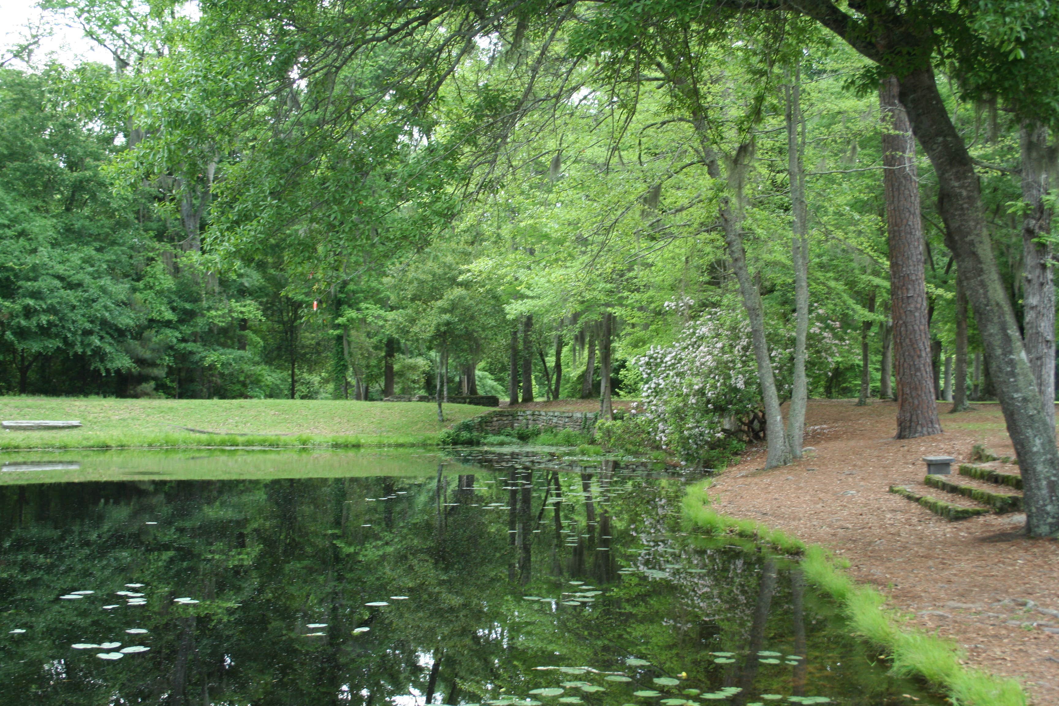 Camper-submitted photo at Poinsett State Park Campground near Elgin, SC