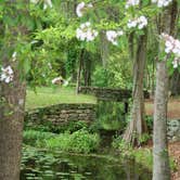 Review photo of Poinsett State Park Campground by Swain K., August 16, 2018