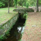 Review photo of Poinsett State Park Campground by Swain K., August 16, 2018