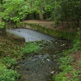 Review photo of Poinsett State Park Campground by Swain K., August 16, 2018