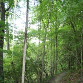 Review photo of Poinsett State Park Campground by Swain K., August 16, 2018