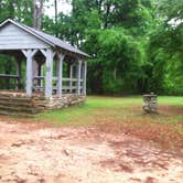 Review photo of Poinsett State Park Campground by Swain K., August 16, 2018