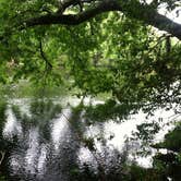 Review photo of Poinsett State Park Campground by Swain K., August 16, 2018