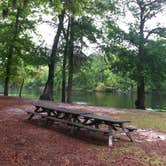 Review photo of Poinsett State Park Campground by Swain K., August 16, 2018