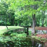 Review photo of Poinsett State Park Campground by Swain K., August 16, 2018