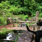 Review photo of Poinsett State Park Campground by Swain K., August 16, 2018