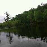 Review photo of Poinsett State Park Campground by Swain K., August 16, 2018