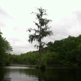 Review photo of Poinsett State Park Campground by Swain K., August 16, 2018