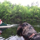 Review photo of Poinsett State Park Campground by Swain K., August 16, 2018