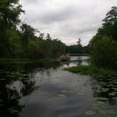 Review photo of Poinsett State Park Campground by Swain K., August 16, 2018