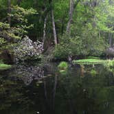 Review photo of Poinsett State Park Campground by Swain K., August 16, 2018