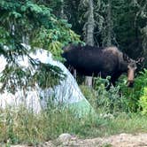 Review photo of The Crags Campground — State Forest State Park by Lisa K., August 16, 2018