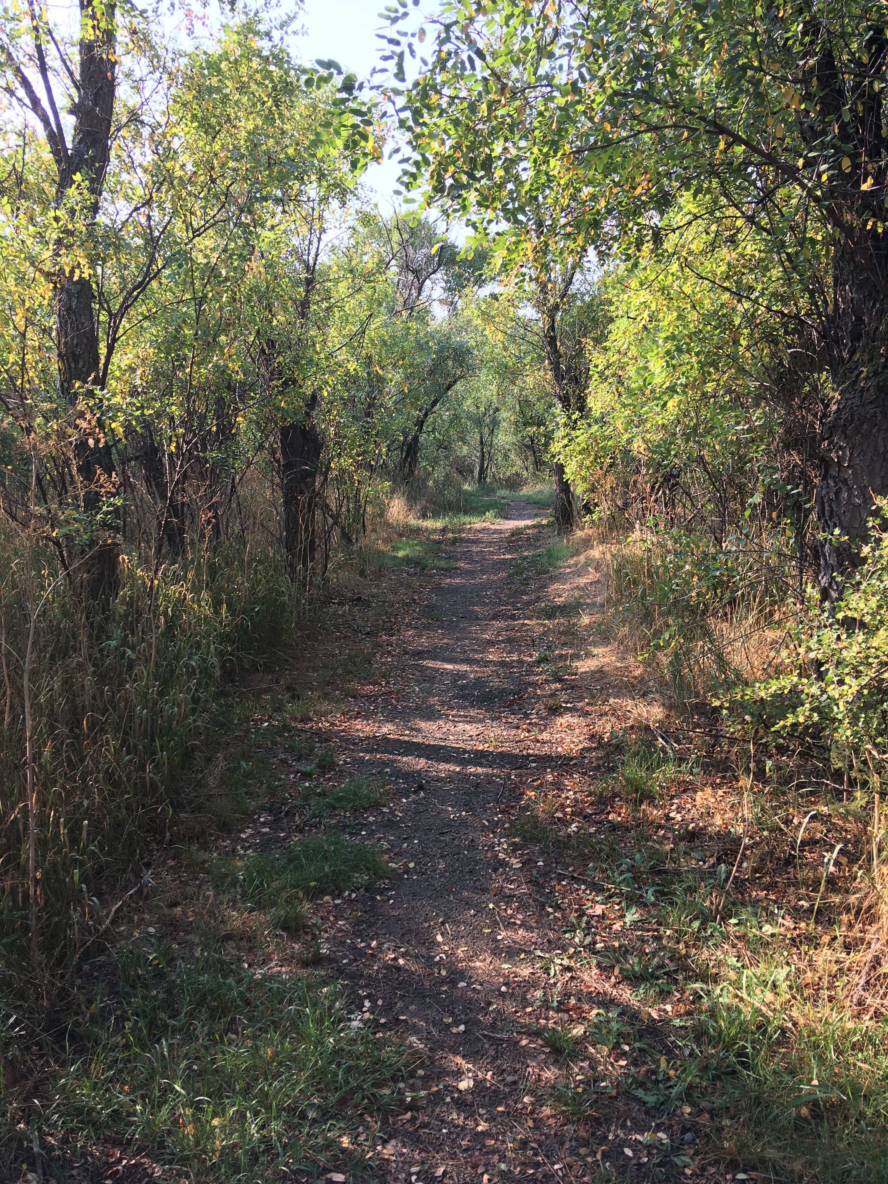 Camper submitted image from Lake Alice Campground — Sugarite Canyon State Park - 3