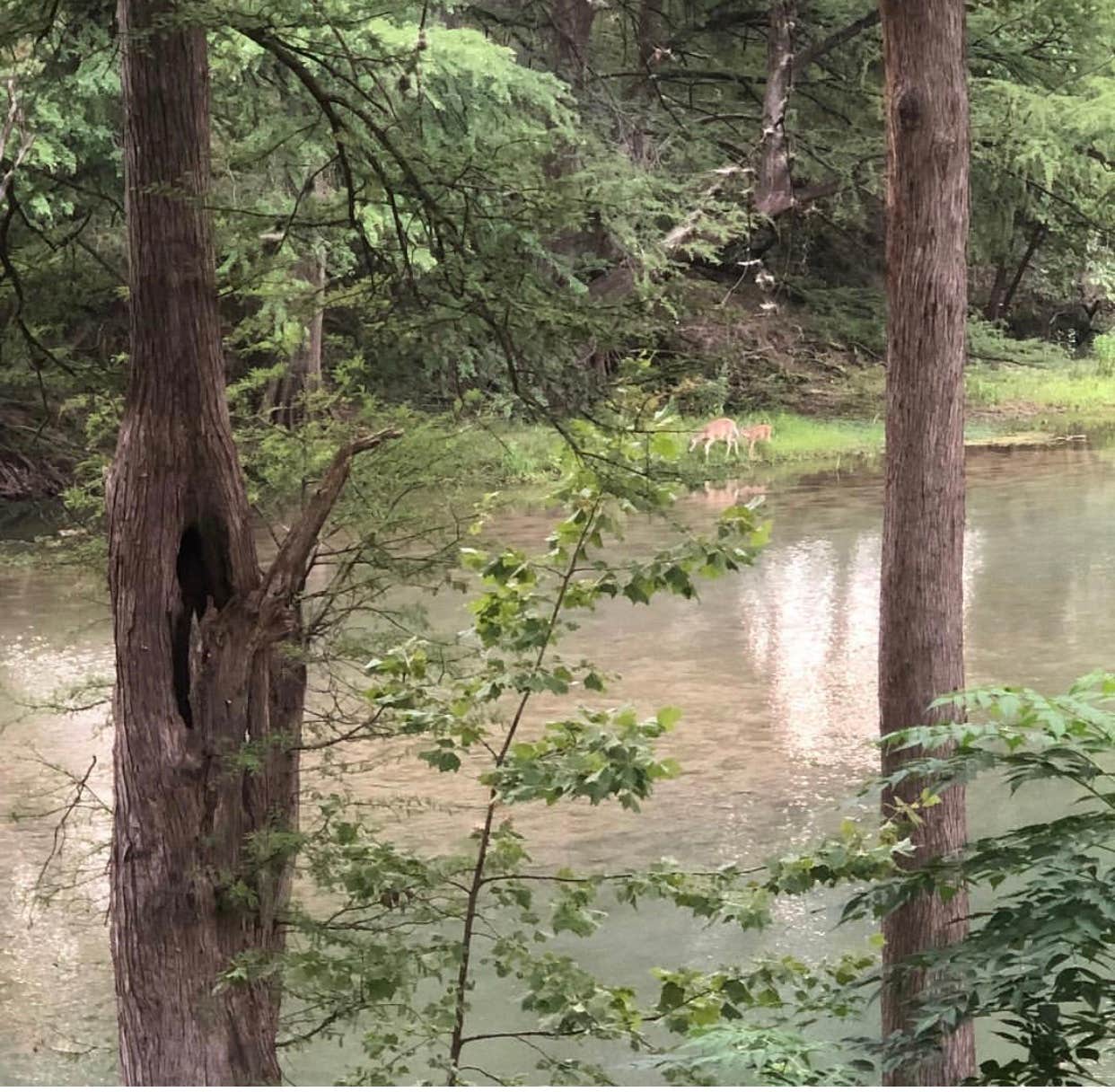 COE Canyon Lake Canyon Park Camping Canyon Lake, TX