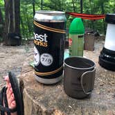 Review photo of Primitive Camping Area — Bald Eagle State Park by Cam N., August 16, 2018