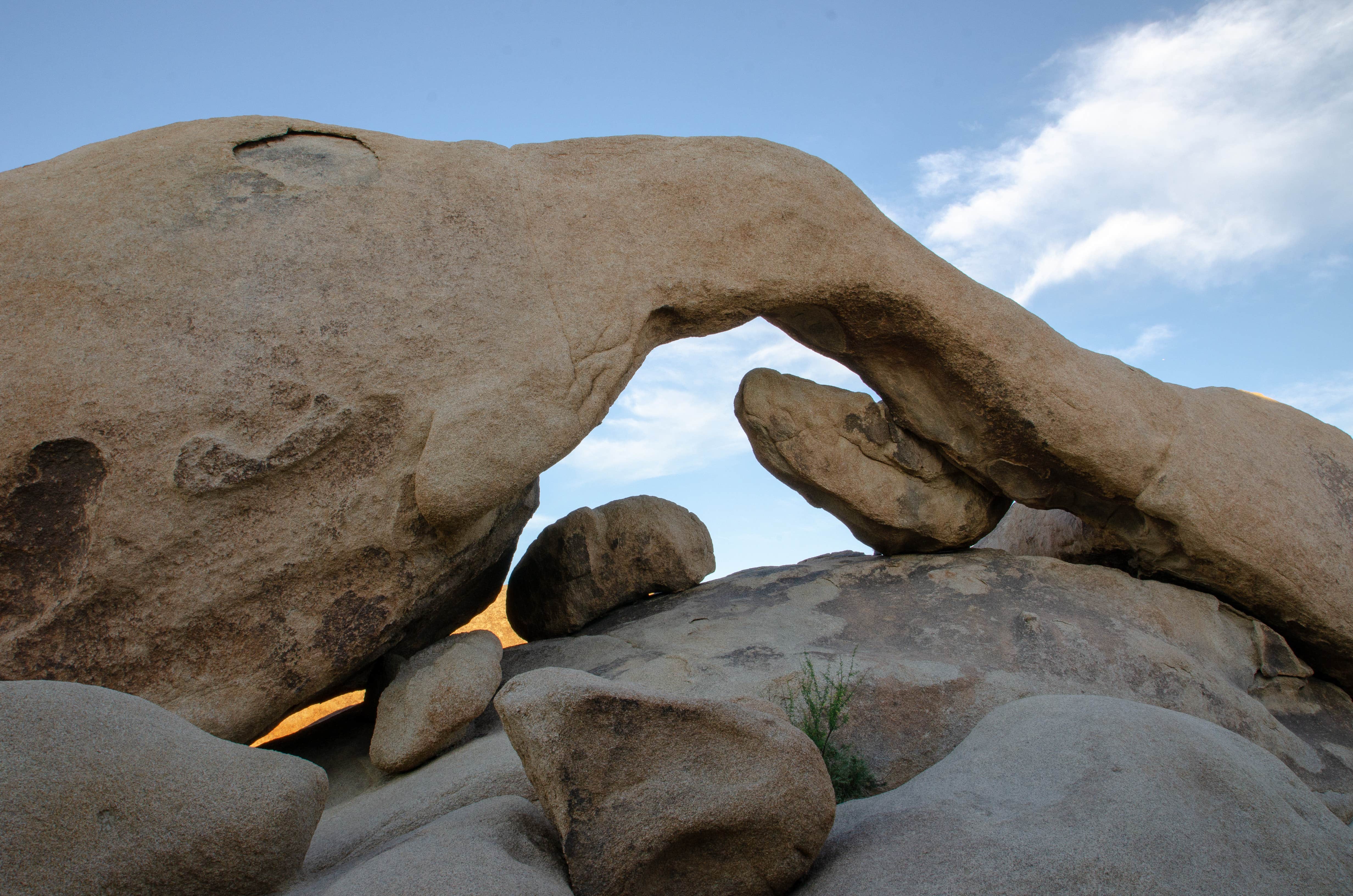 The Arch