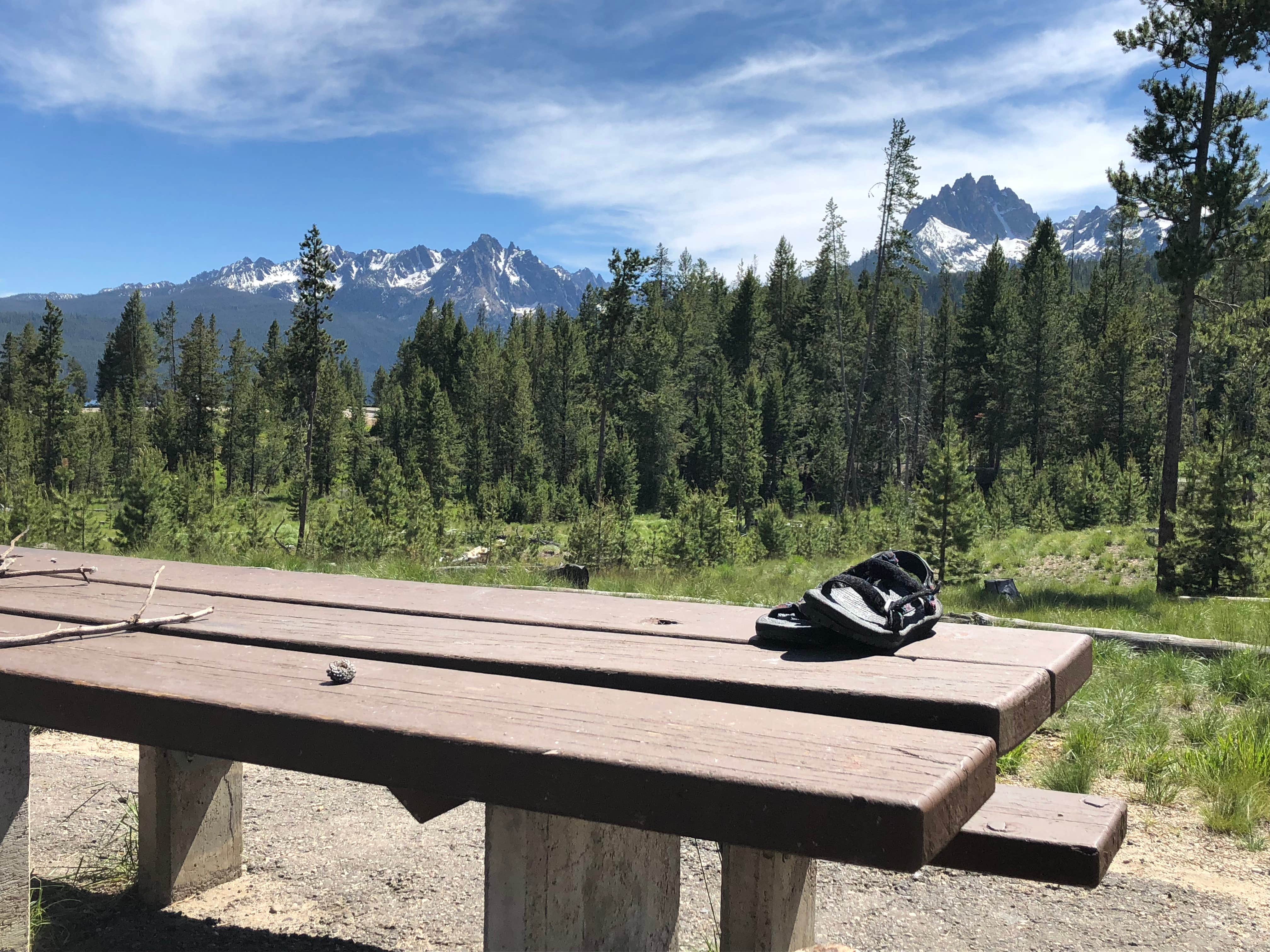 Camper submitted image from Glacier View Campground - 4