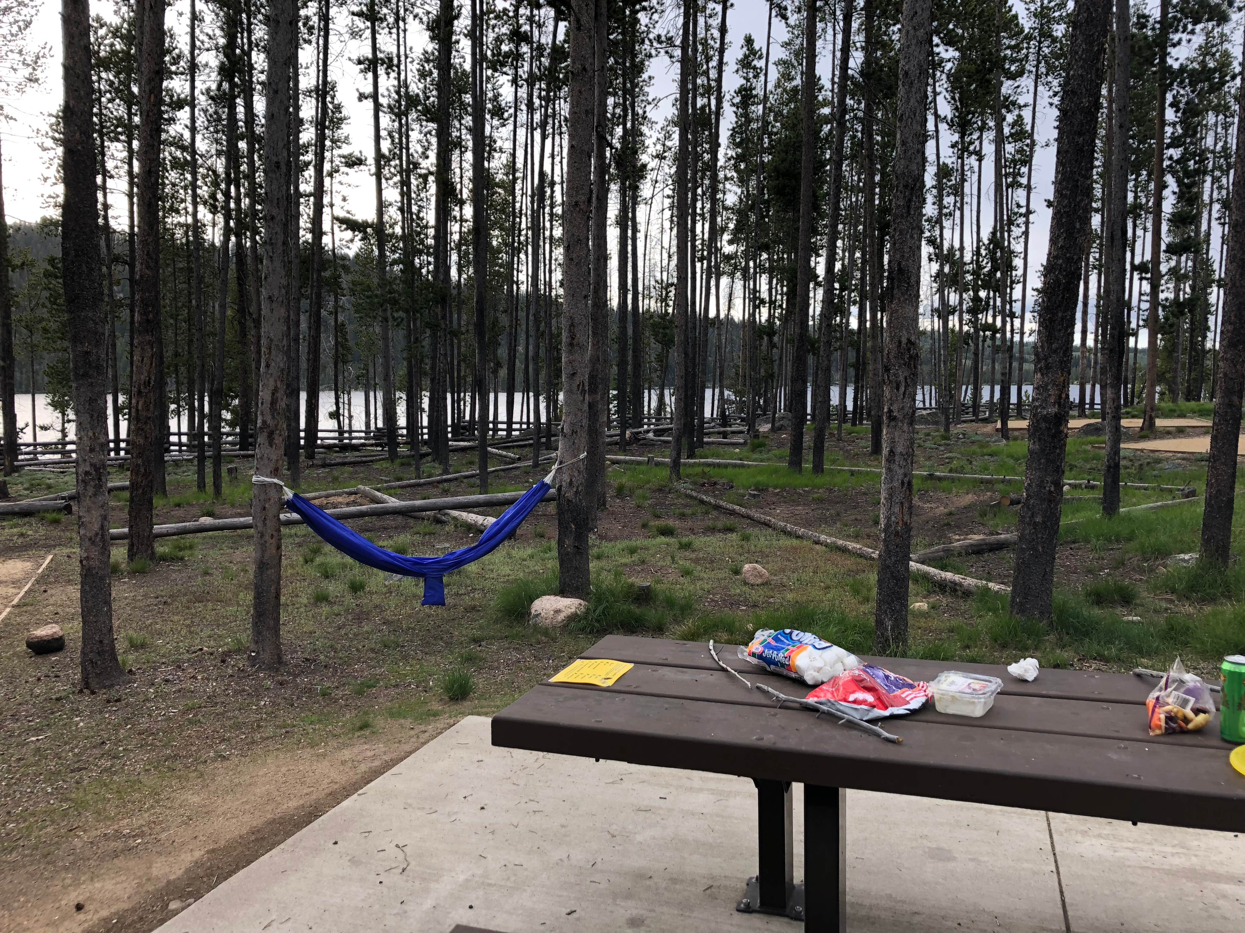 Camper submitted image from Sockeye Campground - 4