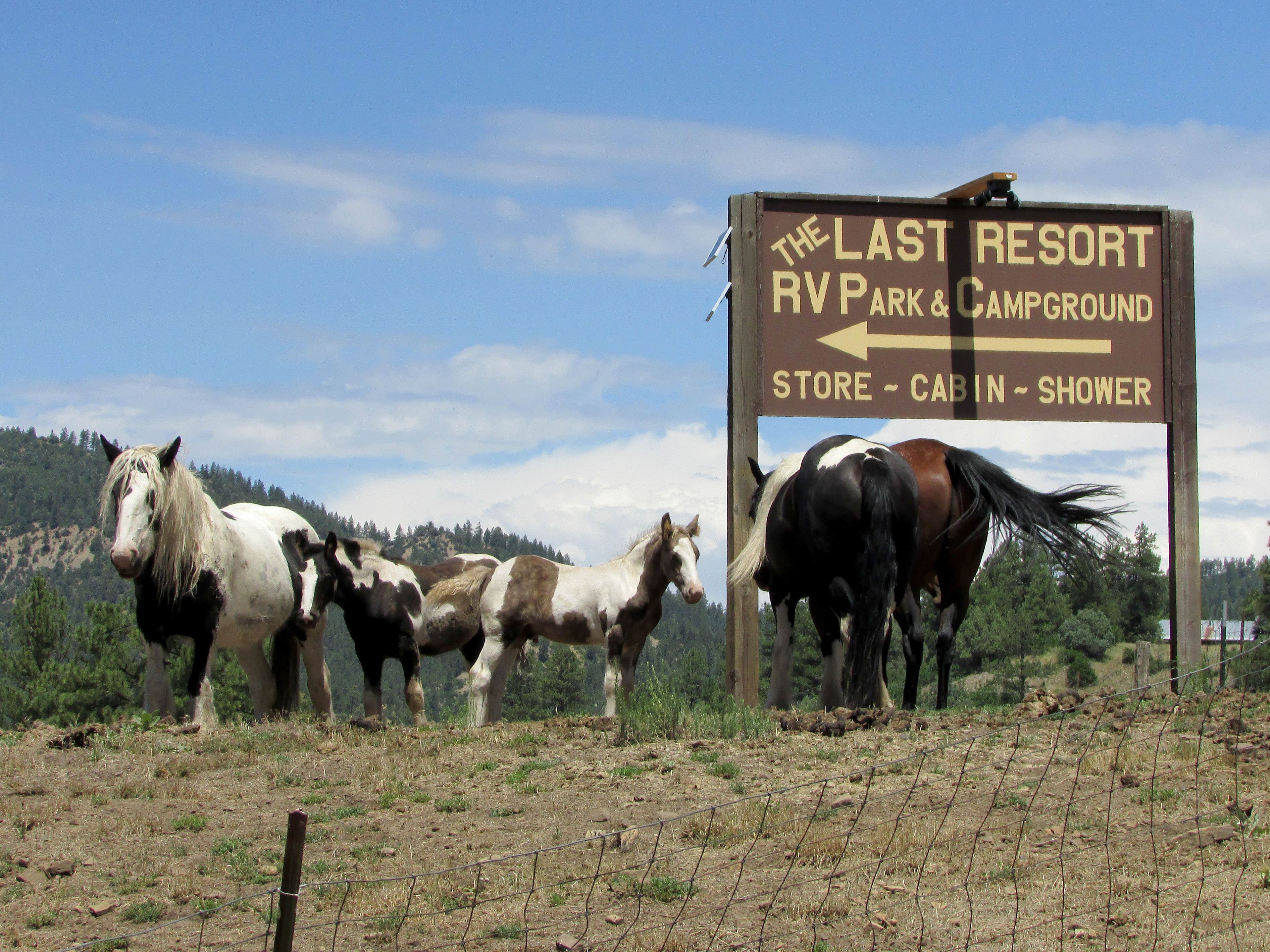 Camper-submitted photo at The Last Resort RV Park & Campground near Pagosa Springs, CO