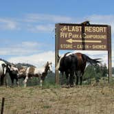 Review photo of The Last Resort RV Park & Campground by Beth B., August 16, 2018