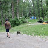Review photo of Rio Chama Campground - Temporarily Closed by Beth B., August 16, 2018