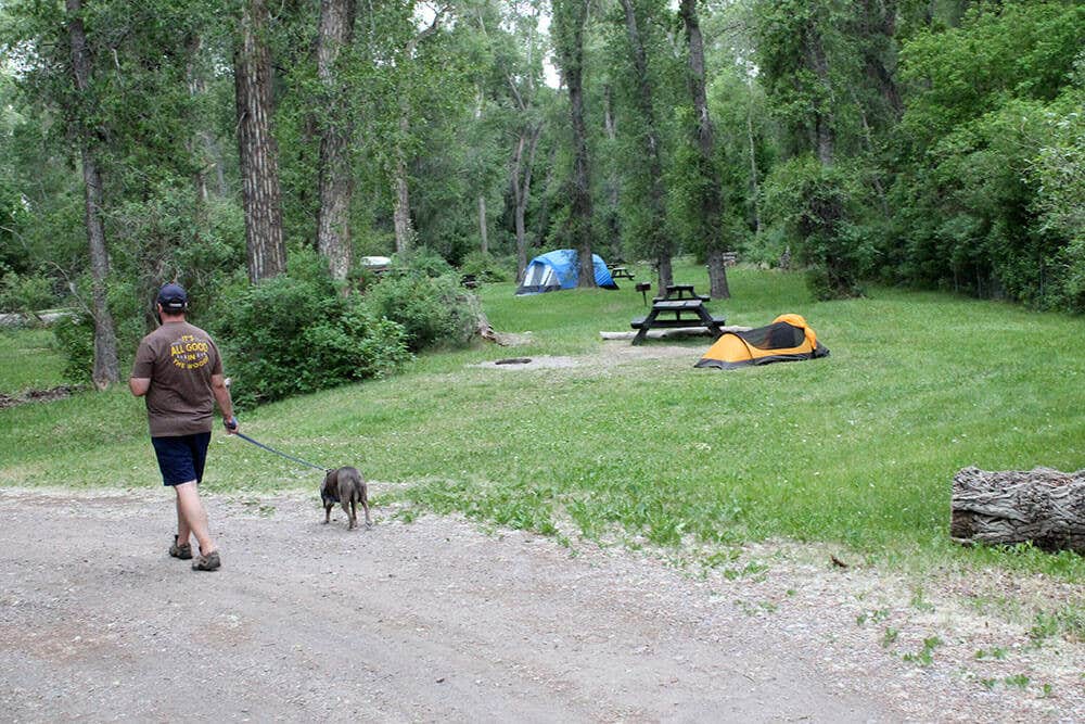 Camper submitted image from Rio Chama Campground - 3