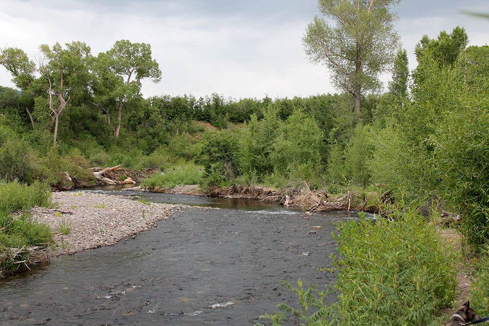 Camper submitted image from Rio Chama Campground - 4